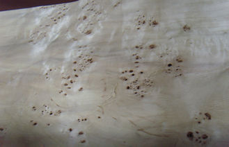 Плоской отрезок Burled деревянной отрезанный облицовкой, конструктивная облицовка узелка золы