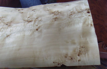 Листы облицовки отрезка тополя естественным отрезанные узелком деревянные, облицовка узелка вяза