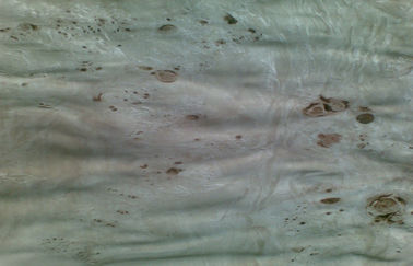 Листы облицовки отрезка тополя естественным отрезанные узелком деревянные, облицовка узелка вяза