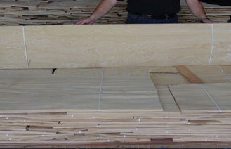 Облицовка узелка белой золы деревянная с отрезанными методами отрезка