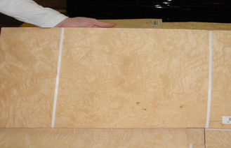 Облицовка желтого узелка золы деревянная для мебели, 0,5 mm толщины