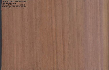 Отрезанный проектированный отрезком деревянный грецкий орех облицовки для мебели/дверей