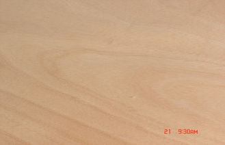 MDF облицовки отрезка Okoume желтый роторный для поверхности мебели