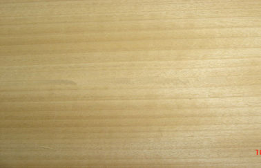 0,5 золотистой mm облицовки отрезка четверти Teak с точным прямым зерном