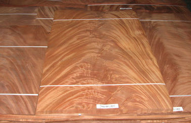 Crotch Mohagany облицовки отрезка кроны Dard красный, естественная деревянная облицовка