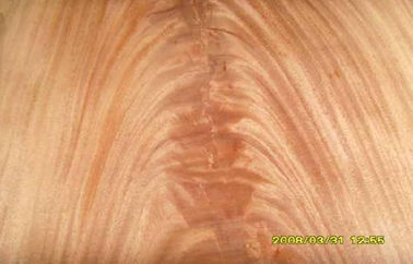 Crotch Mohagany облицовки отрезка кроны Dard красный, естественная деревянная облицовка