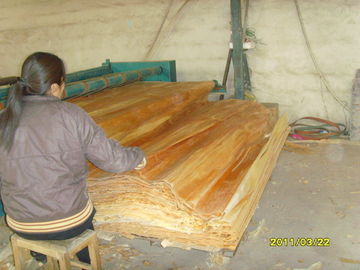 Облицовка березовой древесины мебели