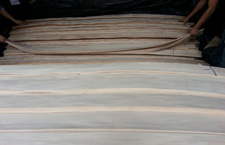 Нутряные тонкие деревянные листы облицовки для шкафов, ленты облицовки березы