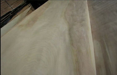 Облицовка естественного роторного вырезывания березы отрезка деревянная ранг для мебели
