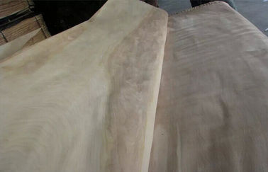 Облицовка естественного роторного вырезывания березы отрезка деревянная ранг для мебели