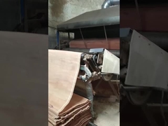 Лущеный шпон из натурального дерева PLB