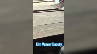 Тесный шпон Вяз Корона