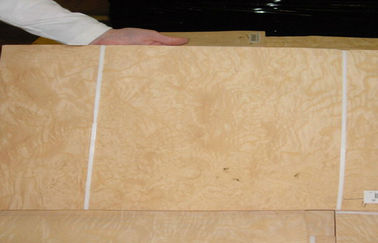 Ломтик облицовки белой естественной золы деревянный отрезал толщину 0.5mm для нутряной отделки