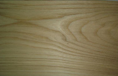 Облицовка отрезка кроны вяза Брайна, 0,3 mm - 0,6 mm естественной деревянной облицовки