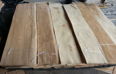 Отрезанное естественное отрезало обесцвеченный лист облицовок березовой древесины для мебели