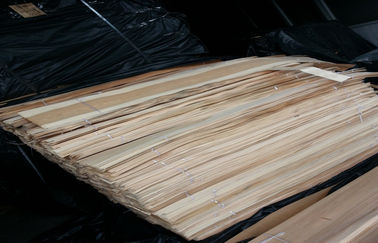 Отрезанное естественное отрезало обесцвеченный лист облицовок березовой древесины для мебели