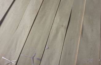 Отрезок отбеленной/белой березовой древесины облицовки ранга AA роторный конструктивный