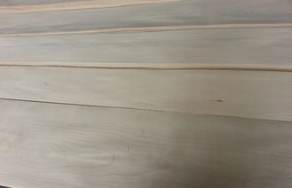Отрезок отбеленной/белой березовой древесины облицовки ранга AA роторный конструктивный