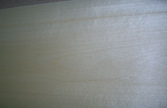Облицовка березовой древесины высокой ранга полируя одностороннее украшение с роторным отрезком
