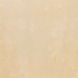 Облицовка березовой древесины отрезка кроны золотистая с толщиной 0.5mm для панелей стены