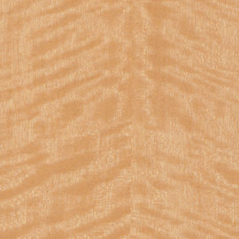 Облицовка березовой древесины отрезка кроны золотистая с толщиной 0.5mm для панелей стены